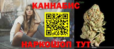 дмт Пенза