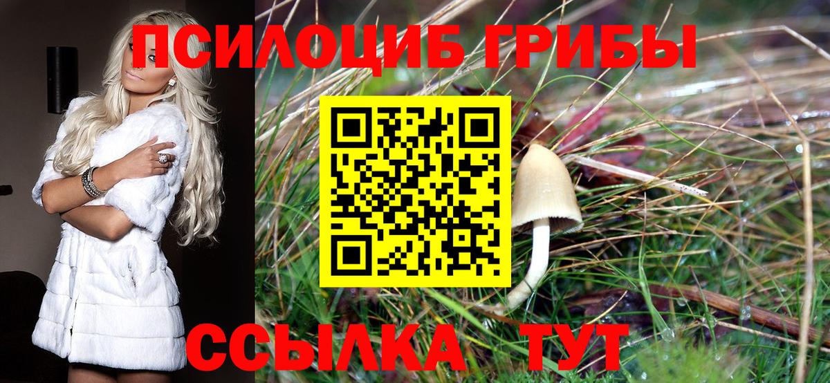 Псилоцибиновые грибы Cubensis  Вход с VPN  Семёнов  Галлюциногенные грибы MAGIC MUSHROOMS 